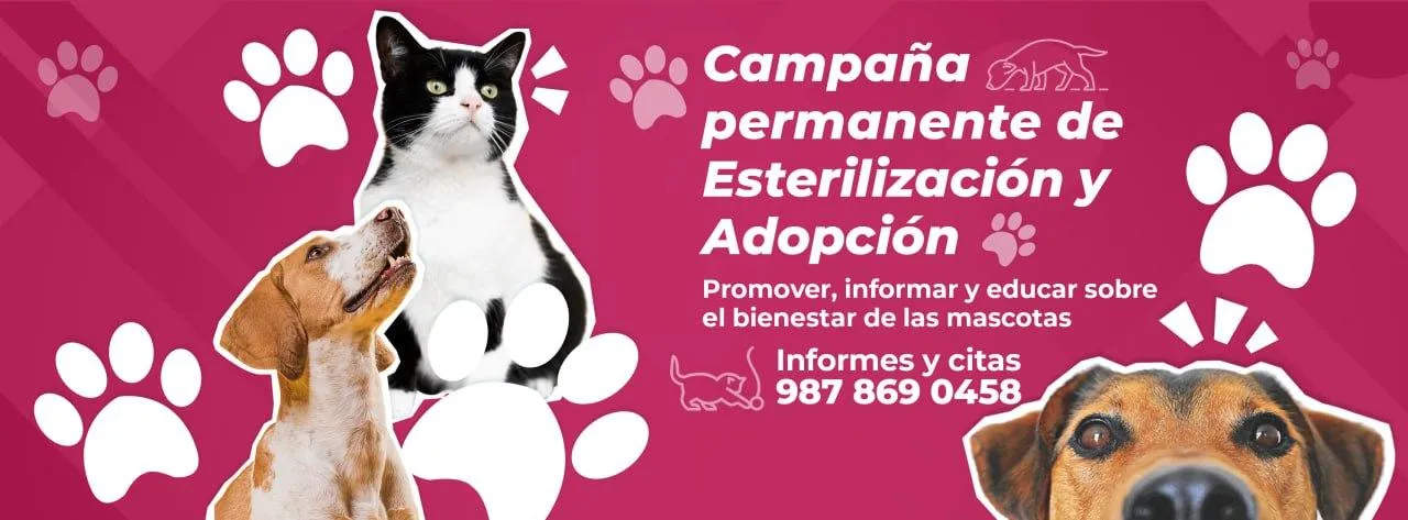 Esterilización