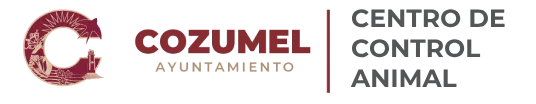 ayuntamiento logo header